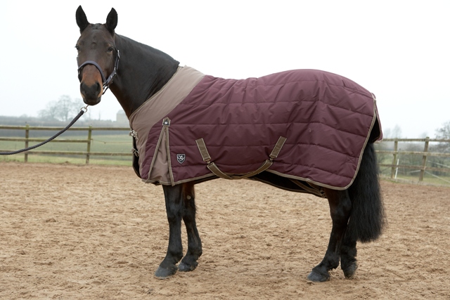 Sherwood Forest Ascot Stable Rug - Equestrian Shop